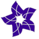 DST logo