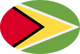 Guyana flag